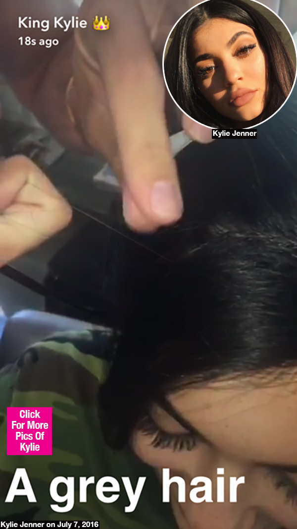 Kylie Jenner Grey Hair