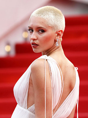 iris law