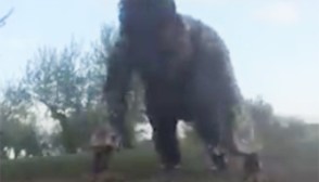 Tom Hardy 22 Push Up Challenge