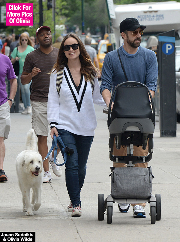 Olivia Wilde Post Pregnancy Body