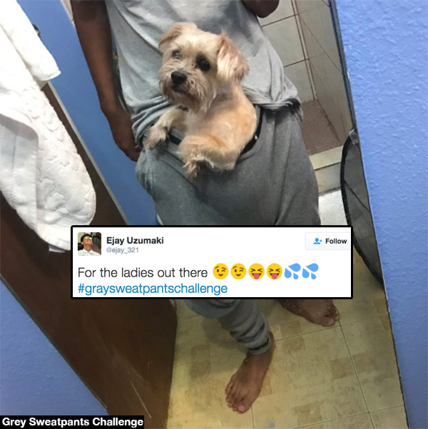 Gray Sweatpants Challenge