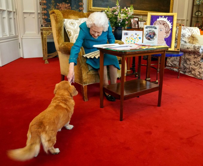 Queen Elizabeth II & Her Pup