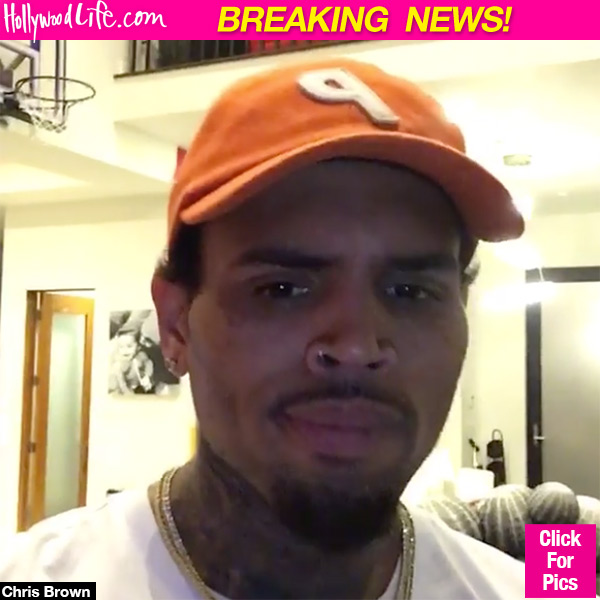 Chris Brown Stalks Exes