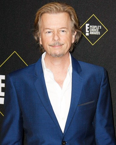 David Spade
45th Annual People's Choice Awards, Arrivals, Barker Hanger, Los Angeles, USA - 10 Nov 2019