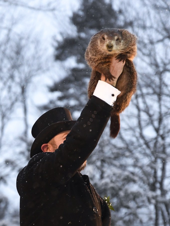 Punxsutawney Phil Addressing The Crowd