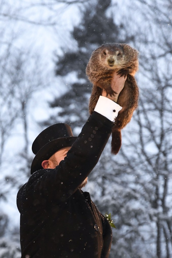 Punxsutawney Phil Celebrating Groundhog Day 2021