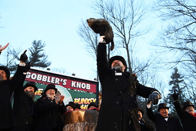 Punxsutawney Phil On Groundhog Day 2022