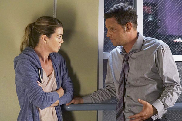 Greys Anatomy Meredith Alex Relationship