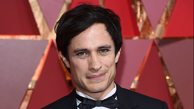 Gael Garcia Bernal Celebrity Profile