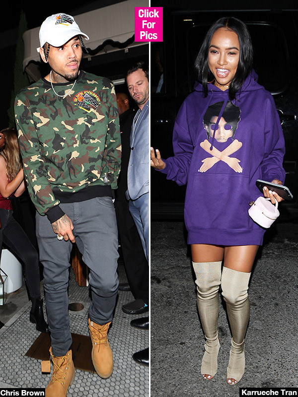 Karrueche Tran Court Documents