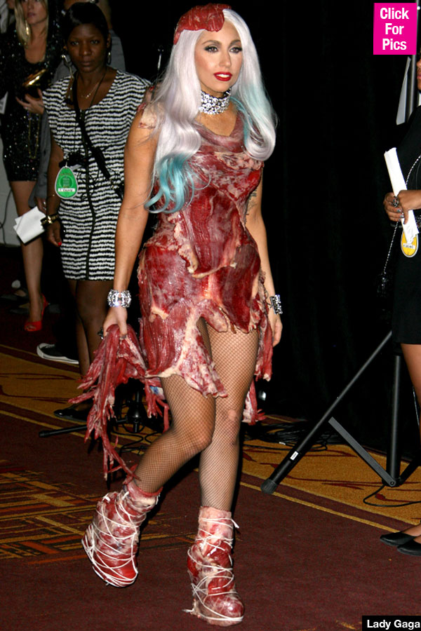 Lady Gaga Meat Dress Super Bowl