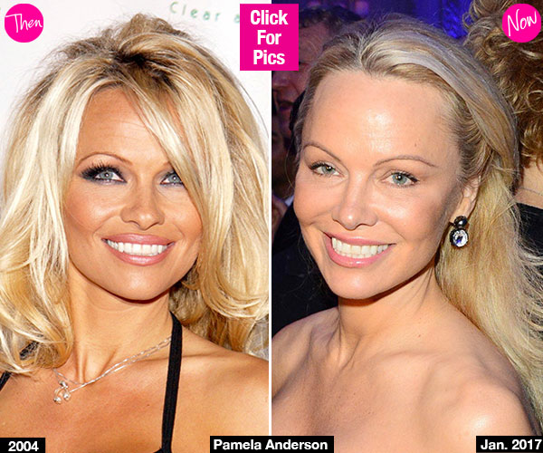 Pamela Anderson Face