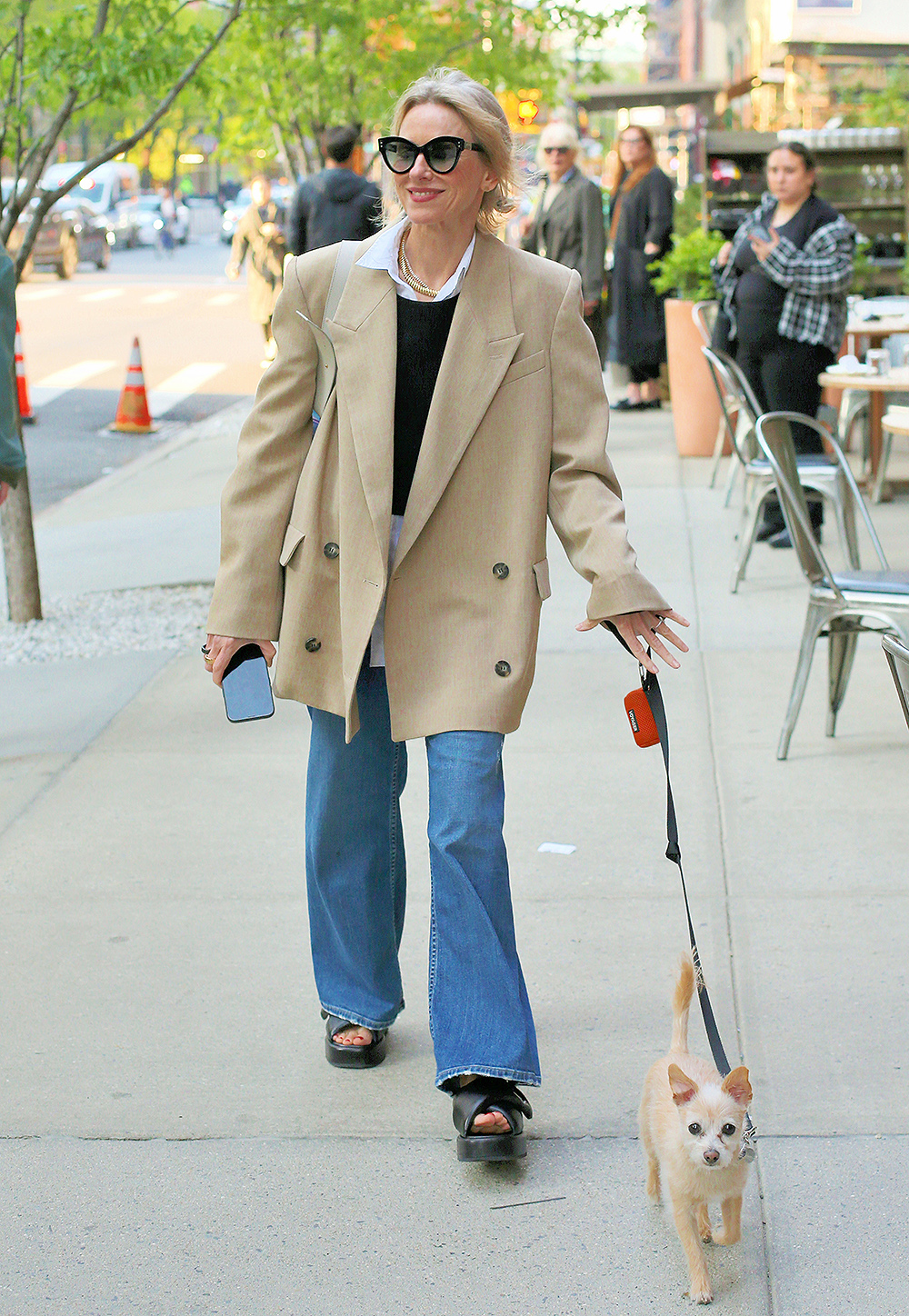 Naomi Watts Shows Off What Appears To Be An Engagement Ring Outside The Greenwich Hotel While Walking Her Dog In New York City