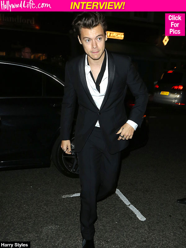 Harry Styles' Boyfriend Traits