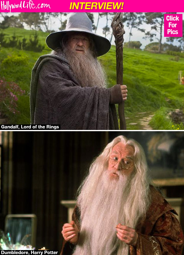 Ian McKellen Dumbledore Diss