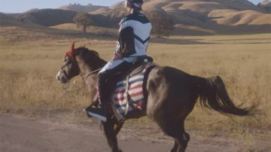 Travis Scott Horse