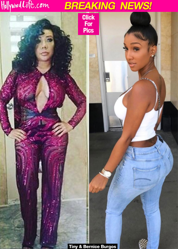 Bernice Burgos Tiny Fight