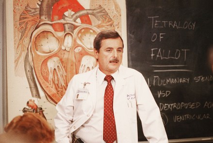 Editorial use only. No book cover usage.
Mandatory Credit: Photo by Nbc-Tv/Kobal/Shutterstock (5883770n)
William Daniels
St Elsewhere - 1982-1988
NBC-TV
USA
Television