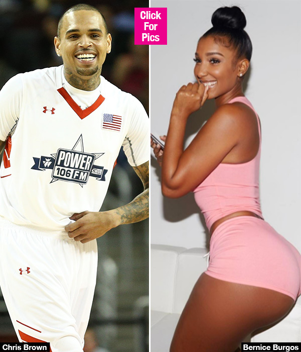 Chris Brown, Bernice Burgos