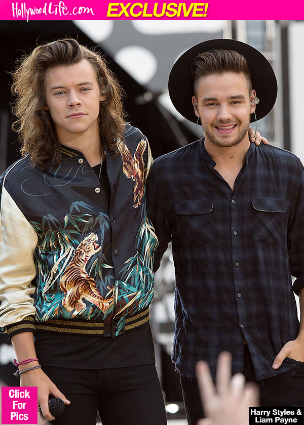 Harry Styles Liam Payne’s Music Diss