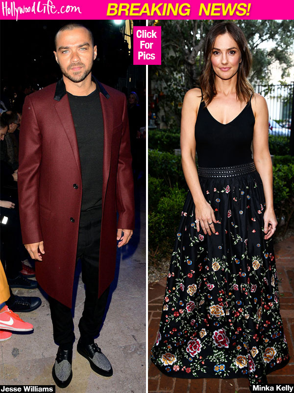 Jesse Williams, Minka Kelly