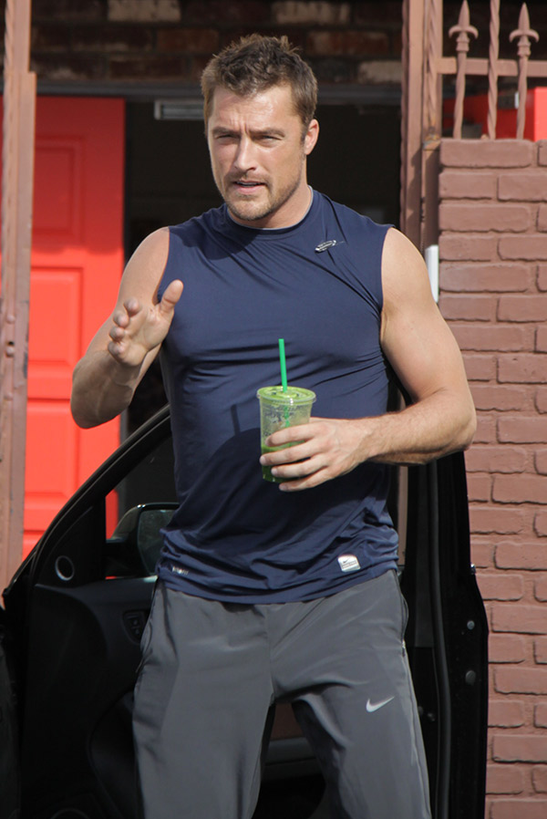 Chris Soules