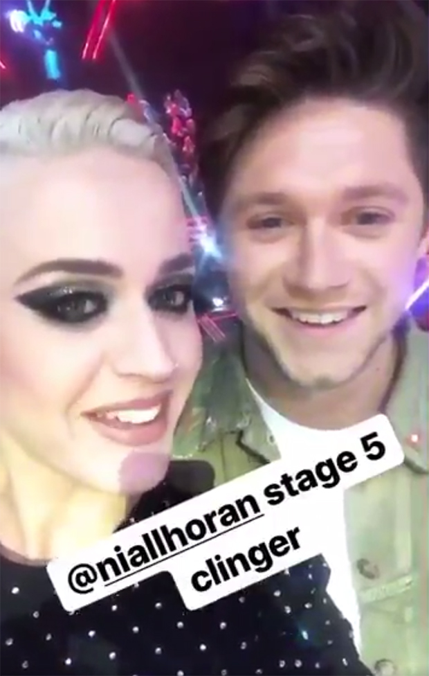 Katy Perry, Niall Horan