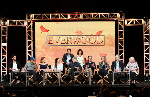 Everwood Reunion