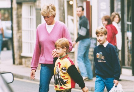 Princess Diana with Prince Harry and Prince William