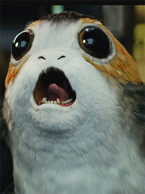 Porg