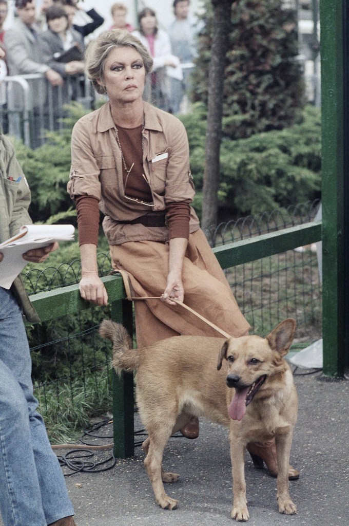 Brigitte Bardot In 1987