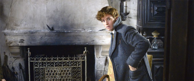 Eddie Redmayne