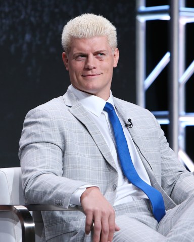 Cody Rhodes
TNT 'All Elite Wrestling' panel, TCA Summer Press Tour, Los Angeles, USA - 24 Jul 2019