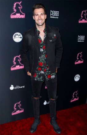 James Maslow
'The Unicorn' film premiere, Arrivals, Los Angeles, USA - 10 Jan 2019