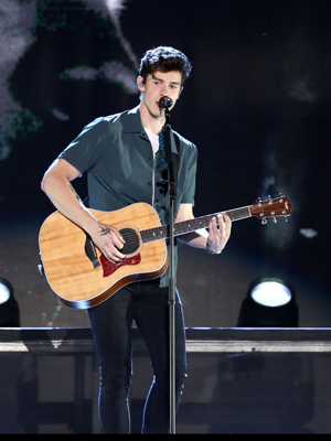 Shawn Mendes Portuguese In My Blood