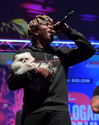 KSI walks on stage with his dog
KSI v Logan Paul 2, UK press conference, Boxing, The Troxy, London, UK - 07 Oct 2019