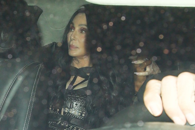 Cher in a car