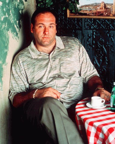 Editorial use only. No book cover usage.Mandatory Credit: Photo by Anthony Neste/Hbo/Kobal/Shutterstock (5886200g)James GandolfiniThe Sopranos - 1999HboUSATelevisionOpera