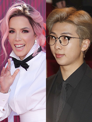 Halsey BTS RM secret handshake
