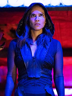 Lesley Ann Brandt