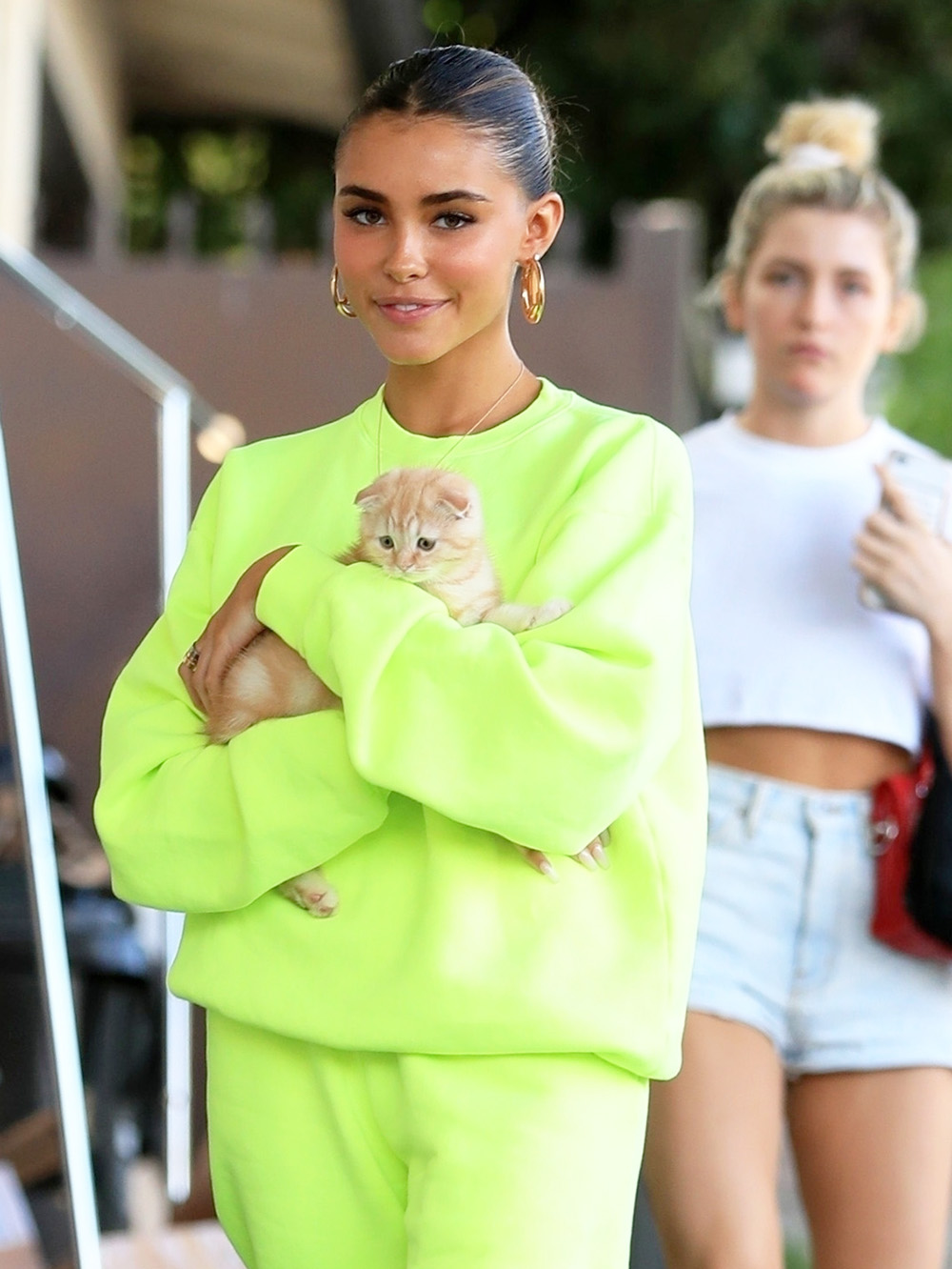 West Hollywood, CA  - *EXCLUSIVE*  - Madison Beer is spotted out with her new kitten Rex. Madison was seen in bright lime green as she presumably heads to a fitting.

Pictured: Madison Beer

BACKGRID USA 16 JUNE 2019 

BYLINE MUST READ: GAMR / BACKGRID

USA: +1 310 798 9111 / usasales@backgrid.com

UK: +44 208 344 2007 / uksales@backgrid.com

*UK Clients - Pictures Containing Children
Please Pixelate Face Prior To Publication*