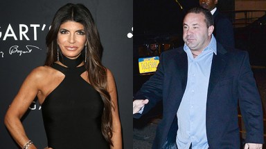 Teresa Giudice, Joe Giudice