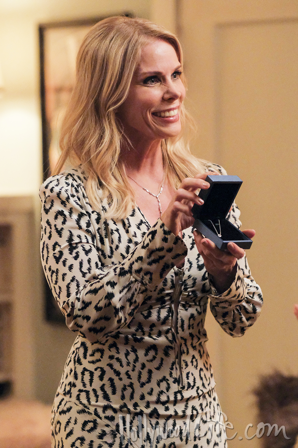 CHERYL HINES