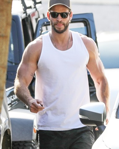 *EXCLUSIVE* Los Angeles, CA  - **WEB MUST CALL FOR PRICING** Liam Hemsworth is hanging out with his new beau, Gabriella Brooks, and the Aussie star is putting in serious work at the gym. With his arms fully pumped after a workout, the star returns to his ride. Gabriella picked up Lunch while Liam worked out. *Shot on February 5, 2020*

Pictured: Liam Hemsworth 

BACKGRID USA 7 FEBRUARY 2020 

BYLINE MUST READ: LESE / BACKGRID

USA: +1 310 798 9111 / usasales@backgrid.com

UK: +44 208 344 2007 / uksales@backgrid.com

*UK Clients - Pictures Containing Children
Please Pixelate Face Prior To Publication*