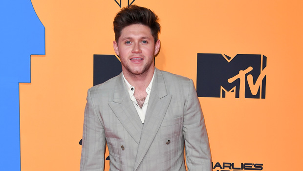 niall horan emas