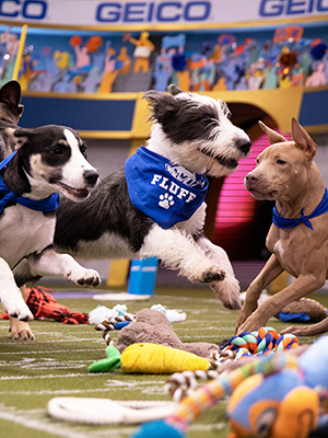 2020 Puppy Bowl