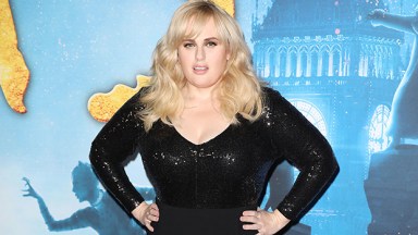 Rebel Wilson on the red carpet