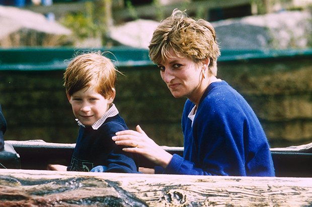 Princess Diana, Prince Harry