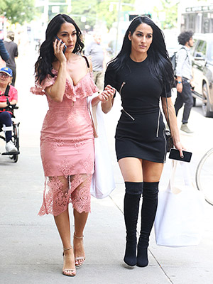 nikki bella brie bella