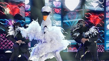 The Masked Singer